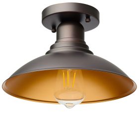 1 Light ceiling fixture (Pack: 1 Pack, Color: ORB w/Gold)